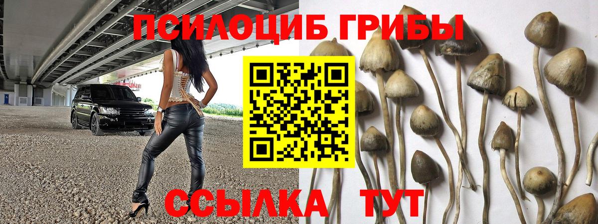 Галлюциногенные грибы Cubensis  Псилоцибиновые грибы Cubensis  Малгобек  продажа наркотиков  Вход с VPN 