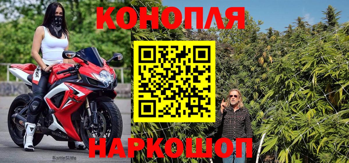 Марихуана гибрид Малгобек
